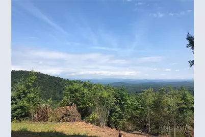 1650 Russell Gap Road #102, Moravian Falls, NC 28654 - Photo 2