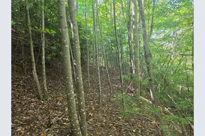 1650 Russell Gap Road #102, Moravian Falls, NC 28654 - Photo 28