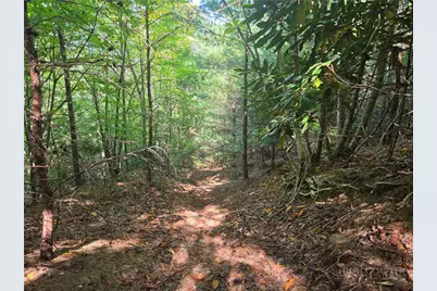 1650 Russell Gap Road #102, Moravian Falls, NC 28654 - Photo 30