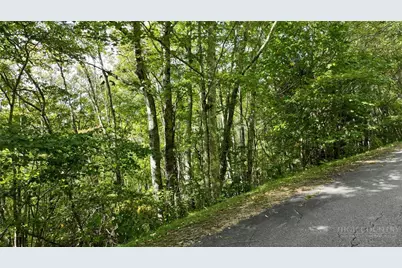 0000 South View Trail, Banner Elk, NC 28604 - Photo 6