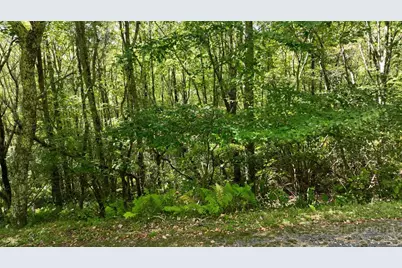 Lot 1 South View Trail, Banner Elk, NC 28604 - Photo 8