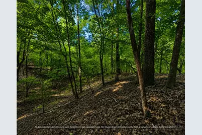99999 Boone Gap Lane, Taylorsville, NC 28681 - Photo 8