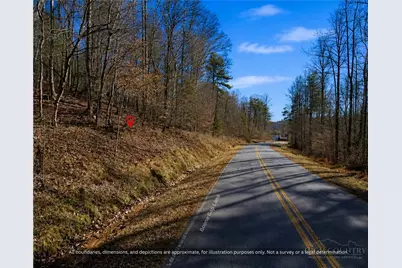 99999 Boone Gap Lane, Taylorsville, NC 28681 - Photo 4
