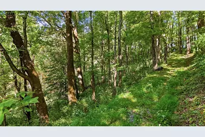 Off Rocky Knob Tower Road, Lenoir, NC 28645 - Photo 46