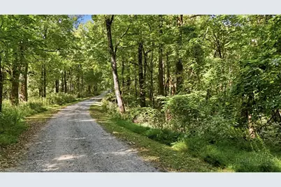 Off Rocky Knob Tower Road, Lenoir, NC 28645 - Photo 36