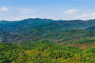 Off Rocky Knob Tower Rd, Lenoir, NC 28645 - Photo 1