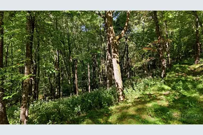 Off Rocky Knob Tower Road, Lenoir, NC 28645 - Photo 44