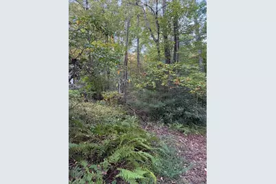 Tbd Mountain Lake Road, Ennice, NC 28623 - Photo 1