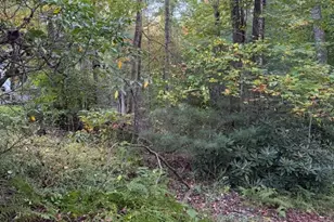 Tbd Mountain Lake Rd, Ennice, NC 28623 - Photo 1