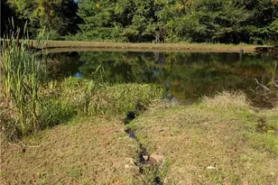 35 US Hwy 221 Hwy, Sparta, NC 28675 - Photo 32
