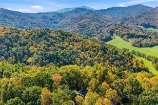 261 Cut Laurel Ln, Banner Elk, NC 28604 - Photo 42