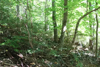 Lot 122 Lauren Lane, West Jefferson, NC 28694 - Photo 8