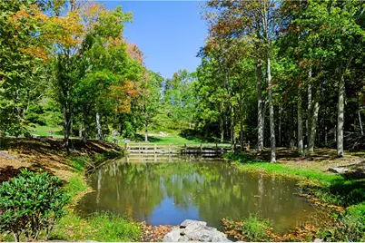 Wr-17 Firethorne Lane, Elk Park, NC 28622 - Photo 10