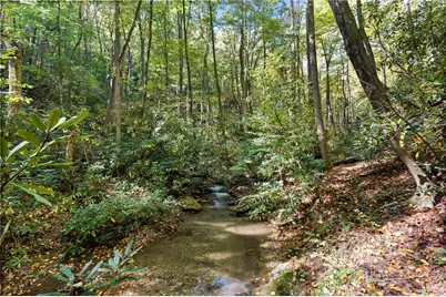 7954 Bailey Falls Lane, Lenoir, NC 28645 - Photo 38