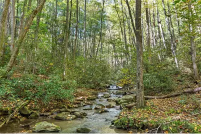 7954 Bailey Falls Lane, Lenoir, NC 28645 - Photo 46