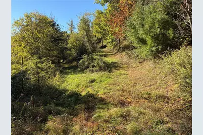 Tbd Water Tank Road, West Jefferson, NC 28694 - Photo 4