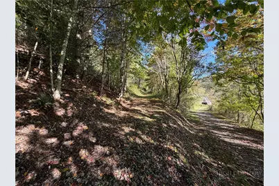 Tbd Water Tank Road, West Jefferson, NC 28694 - Photo 2