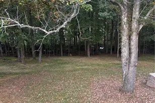 254 Collins Rd, Sparta, NC 28675 - Photo 36