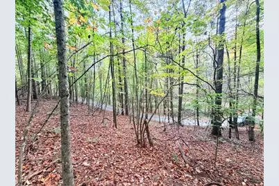 Tbd E Weaver Ford Road, Grassy Creek, NC 28631 - Photo 6