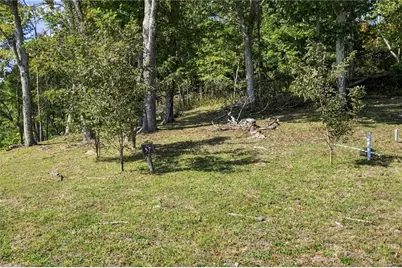 G37 Skycamp Overlook, Banner Elk, NC 28604 - Photo 1