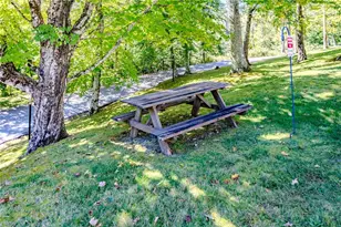 161 Skyleaf Dr, Sugar Mountain, NC 28604 - Photo 34