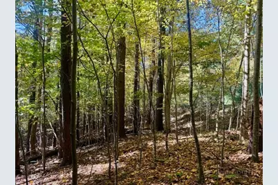Lot 33 Woodland Valley Road, Jefferson, NC 28640 - Photo 16