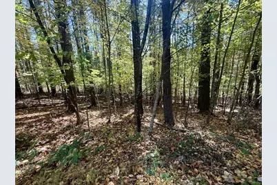 Lot 33 Woodland Valley Road, Jefferson, NC 28640 - Photo 4