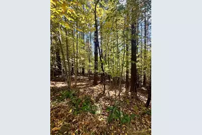 Lot 33 Woodland Valley Road, Jefferson, NC 28640 - Photo 10