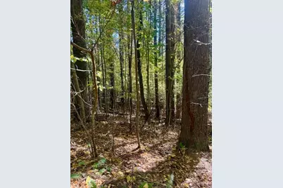 Lot 33 Woodland Valley Road, Jefferson, NC 28640 - Photo 14