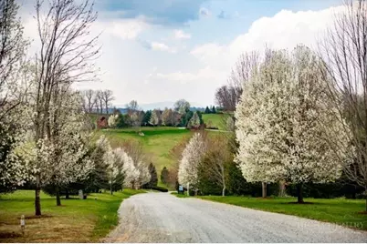 Lot 77 Black Bear Ridge, Sparta, NC 28675 - Photo 6