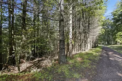 Lot 45 S Turkey Ridge Road, Lansing, NC 28645 - Photo 2