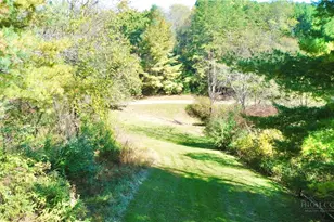 464 Lucky Hill Rd, Grassy Creek, NC 28631 - Photo 4