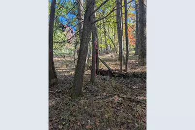 Tbd Parkway Lane, Sparta, NC 28675 - Photo 8