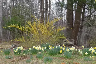 2081 Baker's Ridge Rd, Piney Creek, NC 28663 - Photo 48