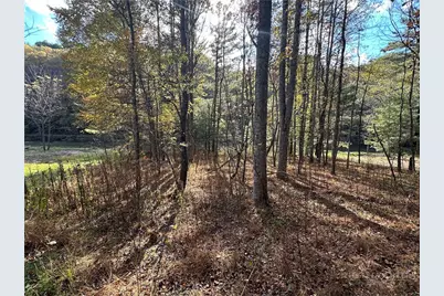 Tbd River Front Drive, Jefferson, NC 28640 - Photo 2