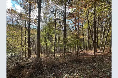 Tbd (Lot 40) River Front Drive, Jefferson, NC 28640 - Photo 6