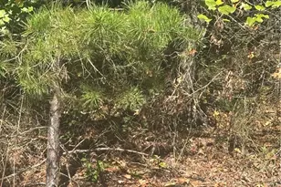 Lot 6 Saint Andrews Dr, North Wilkesboro, NC 28659 - Photo 1