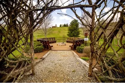 Tbd Bear Den Road, Sparta, NC 28675 - Photo 2
