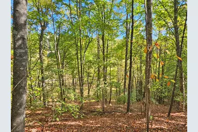 4545 Walnut Ridge Drive, Lenoir, NC 28645 - Photo 30