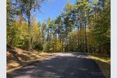 Lot 34 Woodland Valley Road, Jefferson, NC 28640 - Photo 8
