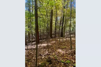 Lot 34 Woodland Valley Road, Jefferson, NC 28640 - Photo 4