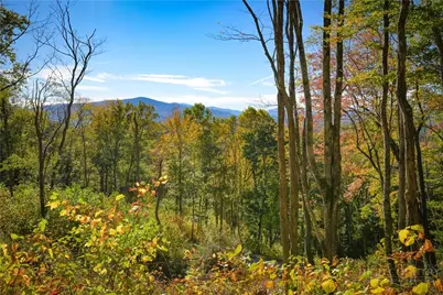 C76 Smokerise Drive, Banner Elk, NC 28604 - Photo 6