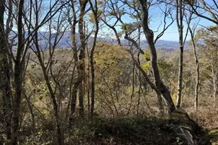Lot #44 Summit Trail, Banner Elk, NC 28604 - Photo 1