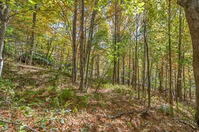 Lot 4 Goshen Drive, Boone, NC 28607 - Photo 6