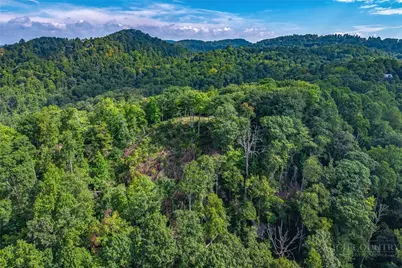 Tbd Forest Trail, Blowing Rock, NC 28605 - Photo 12