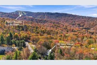 103 Upper Grouse Ridge Road, Beech Mountain, NC 28604 - Photo 2