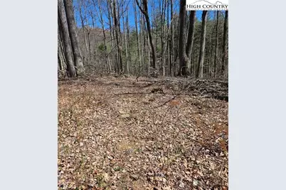 23 Altamont Way, Newland, NC 28657 - Photo 4