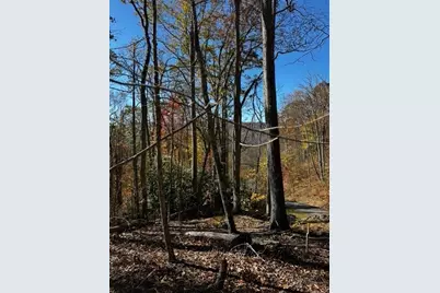 Lot 18 Jackson Ridge Road, Boone, NC 28607 - Photo 4