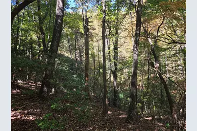 29 Elk Ridge Road, Ferguson, NC 28624 - Photo 22
