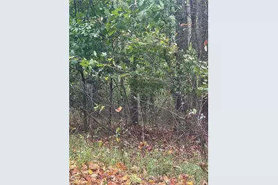 Lot 120 Friar Court, North Wilkesboro, NC 28659 - Photo 2